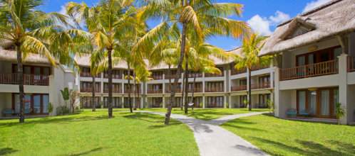 C Palmar from the outside